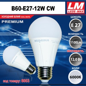 Світлодіодна лампочка B60-E27-12W CW (код товару 6003)